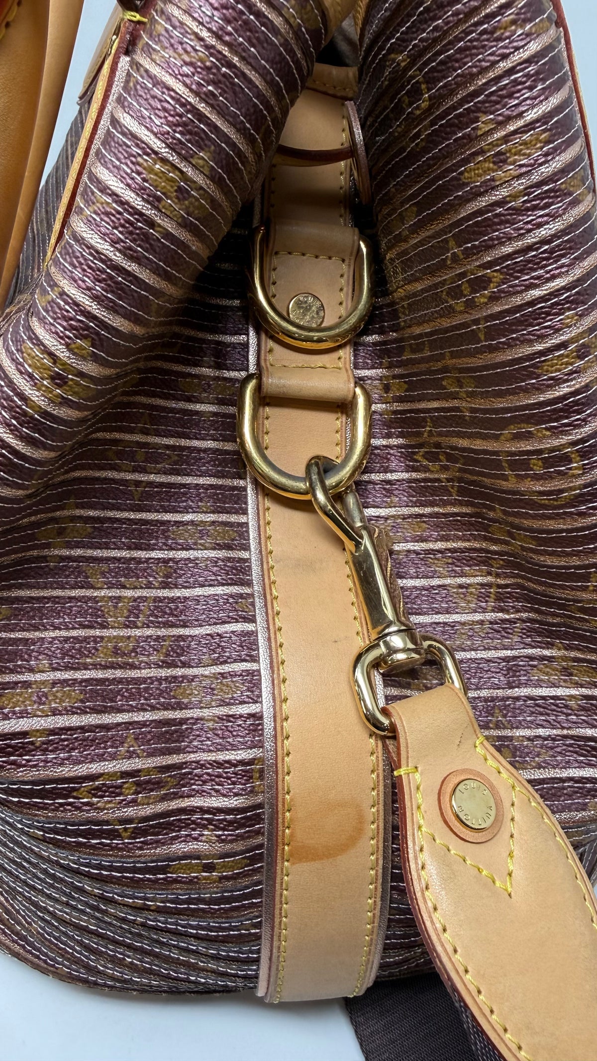 Louis Vuitton Limited Edition PRE OWNED Monogram Eden Neo Bag