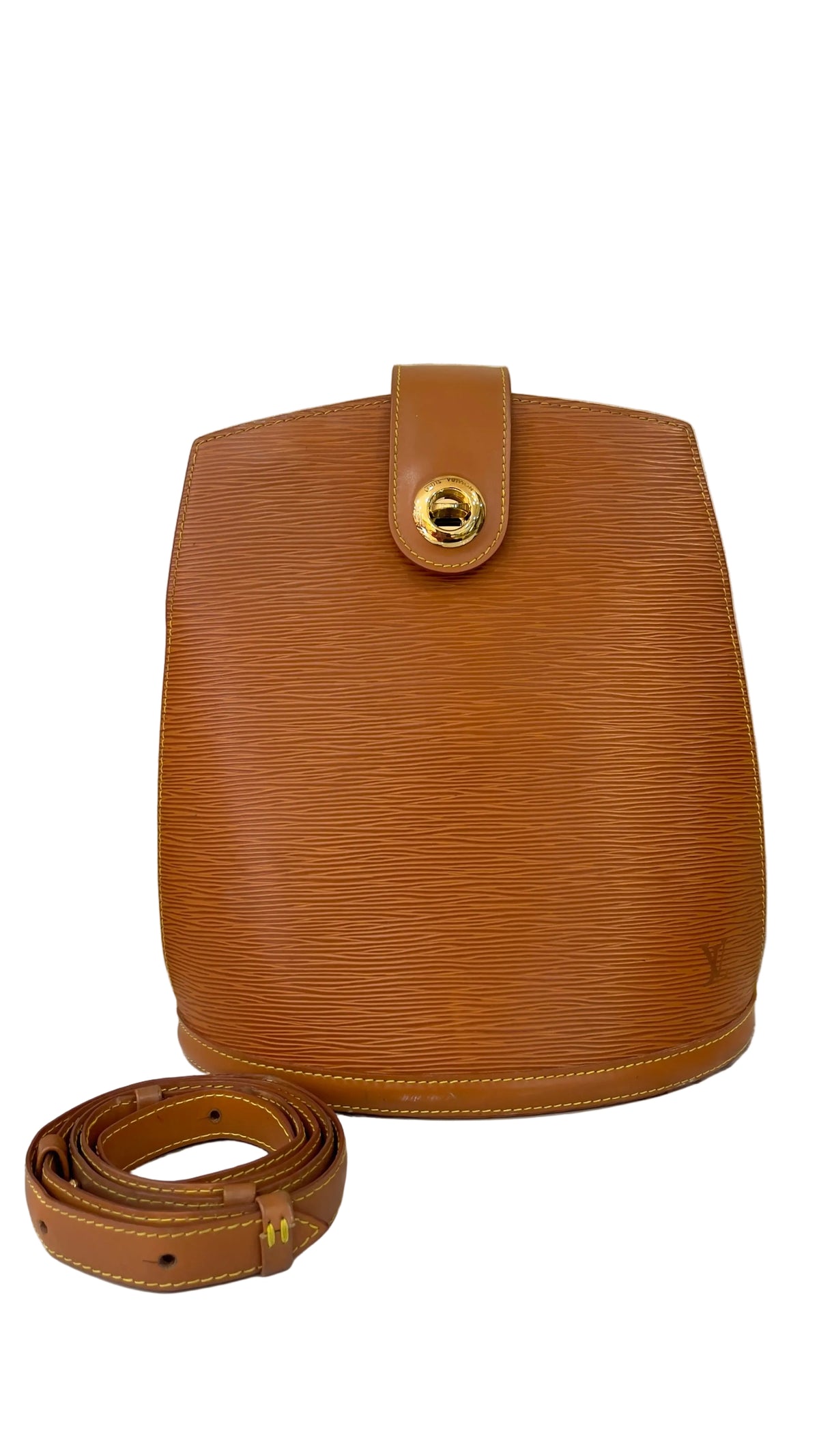 Louis Vuitton PRE OWNED Cluny Epi Leather