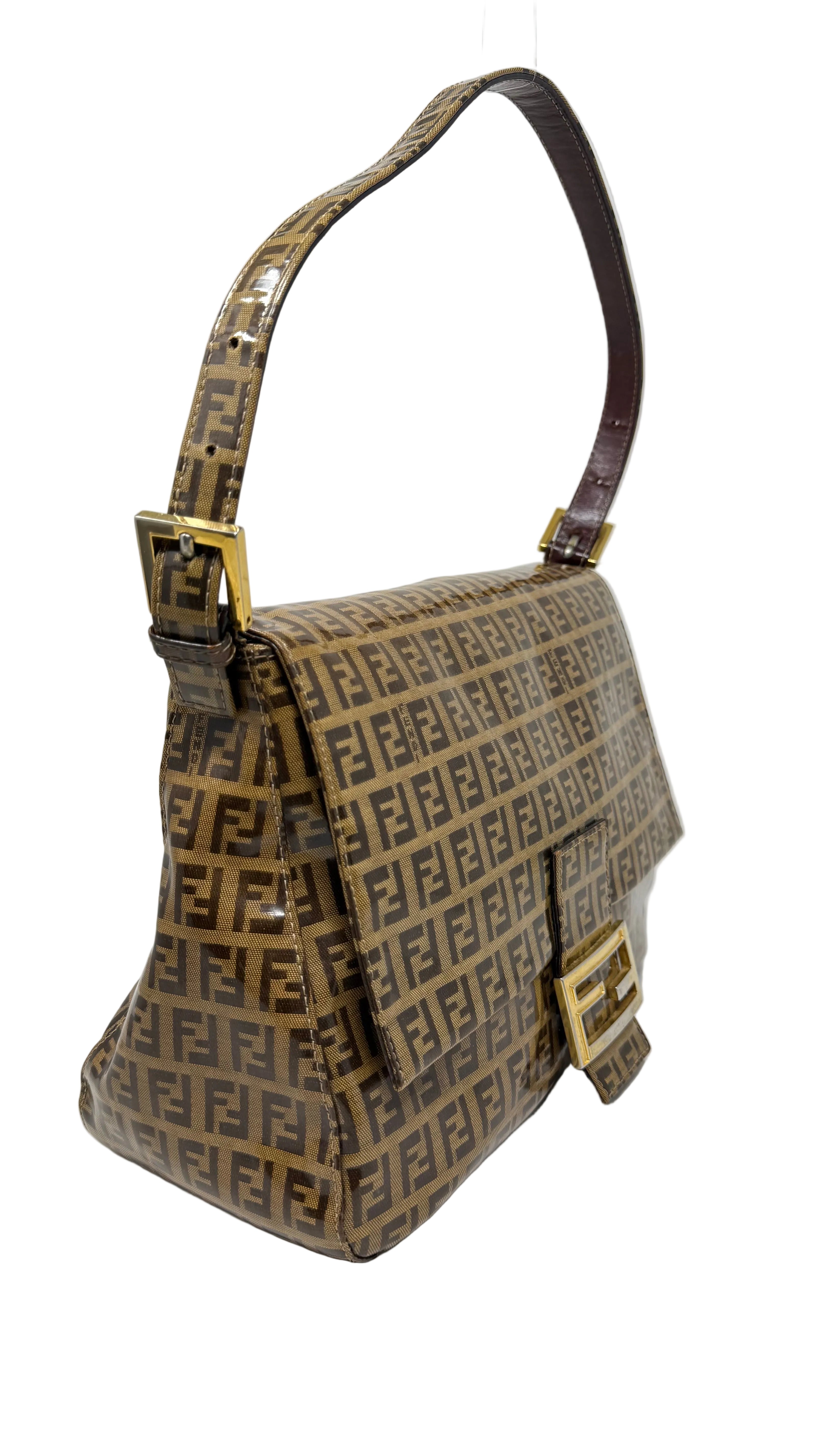 Fendi Preloved Bag