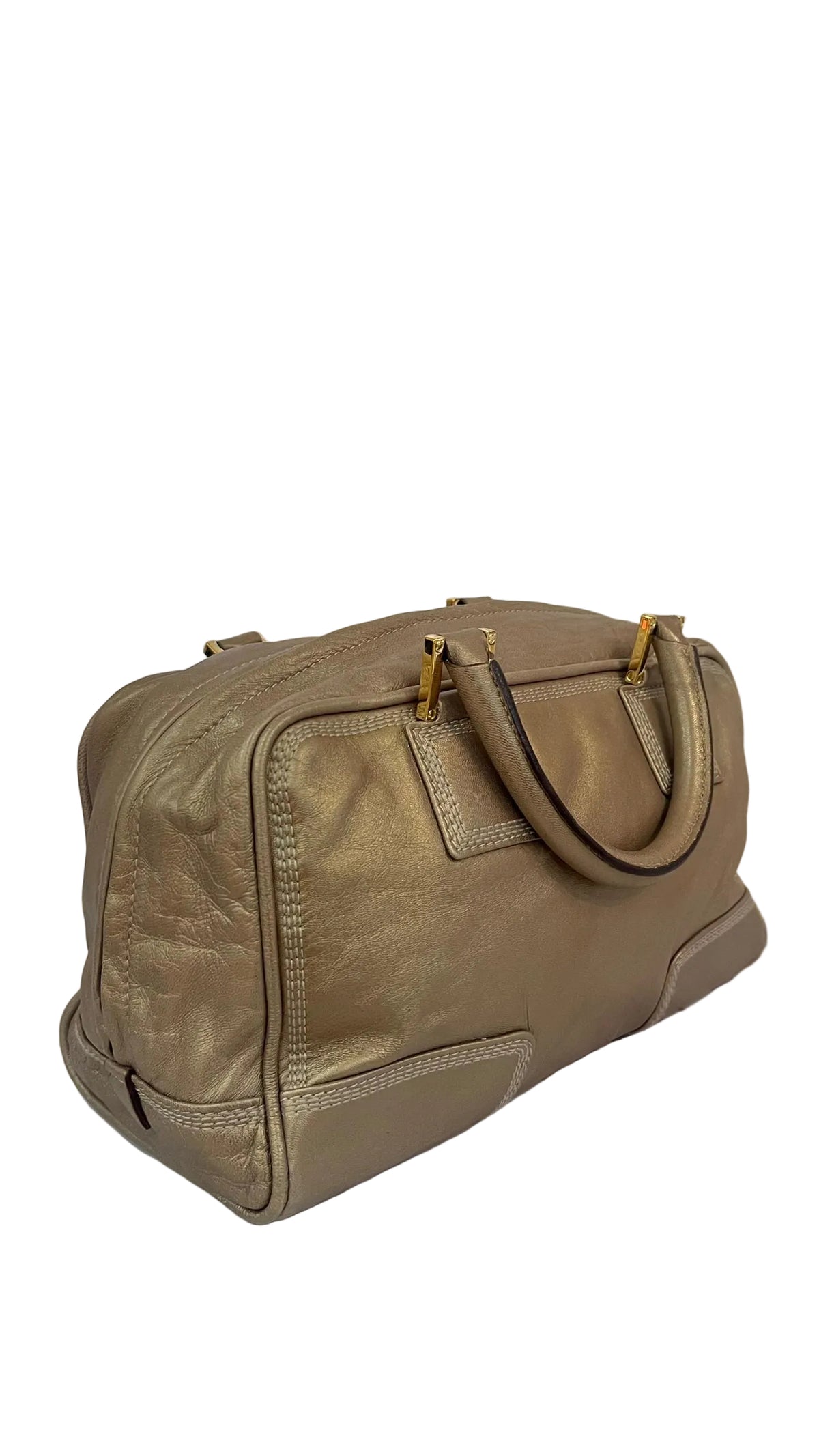 Loewe Amazona 28 PRE OWNED Piel Metalizado Dorada