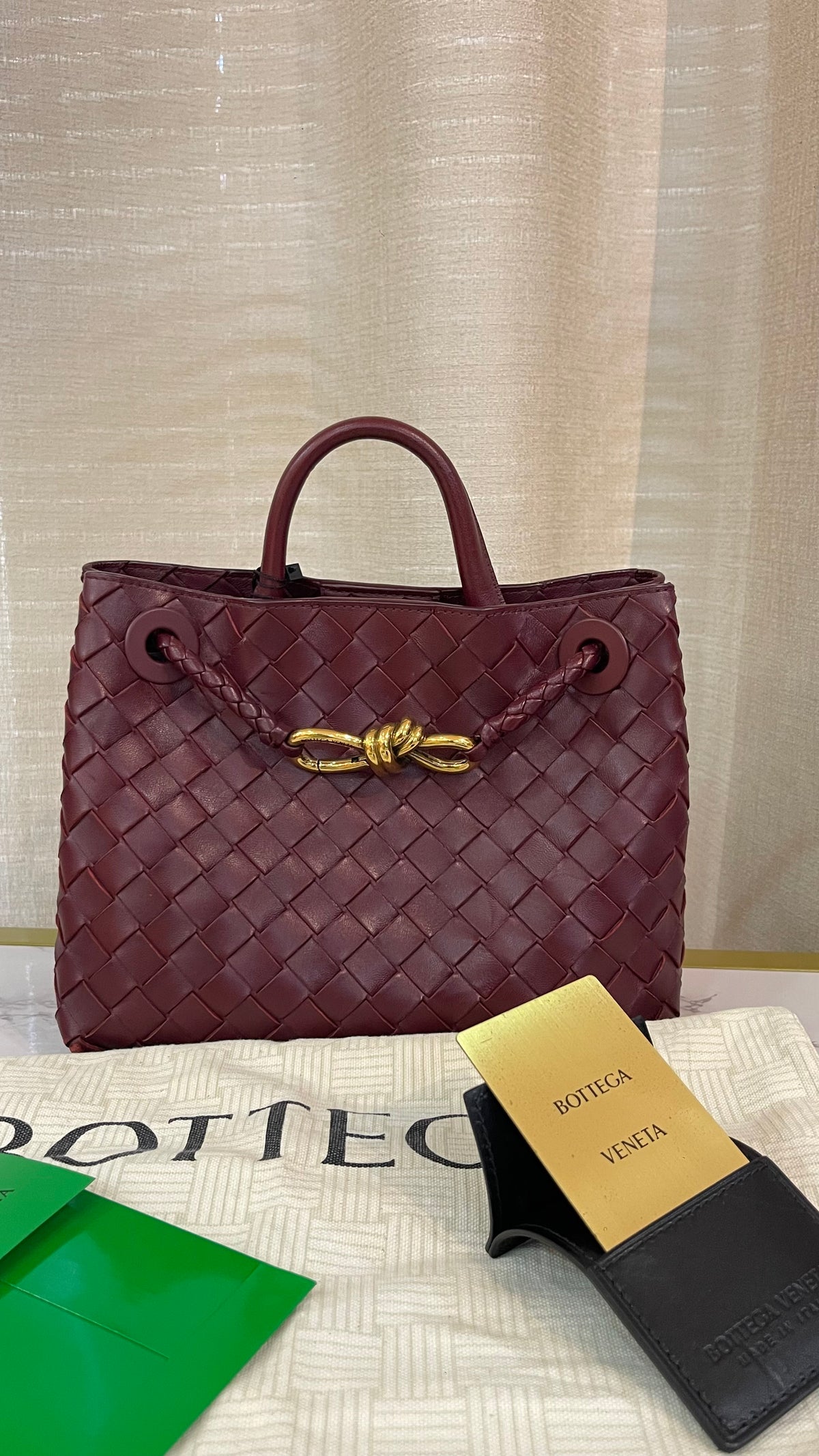 Bottega Veneta PRE OWNED Andiamo Medium Intrecciato Bag Barolo