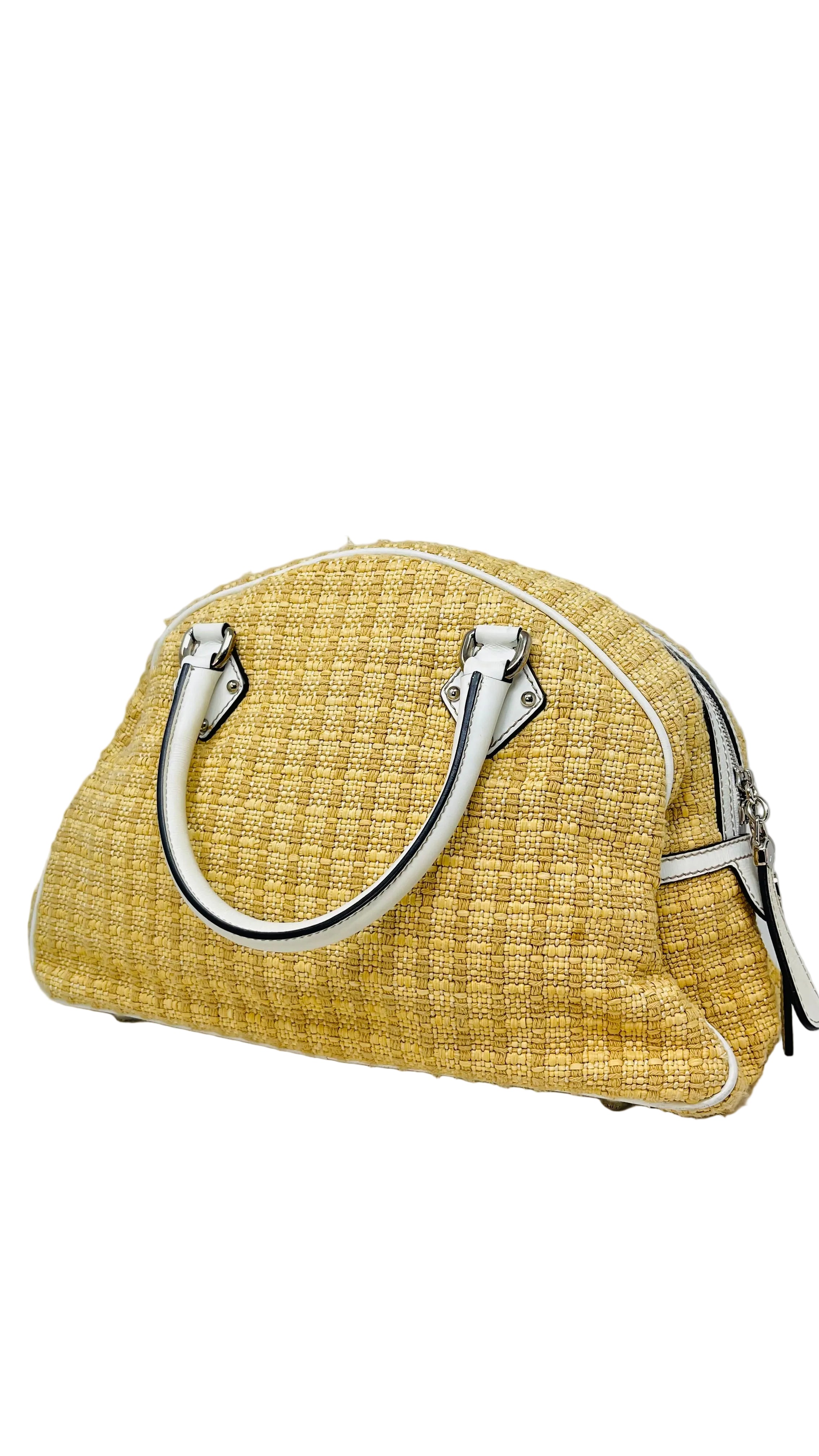 Dolce & Gabbiana Raphia Bag