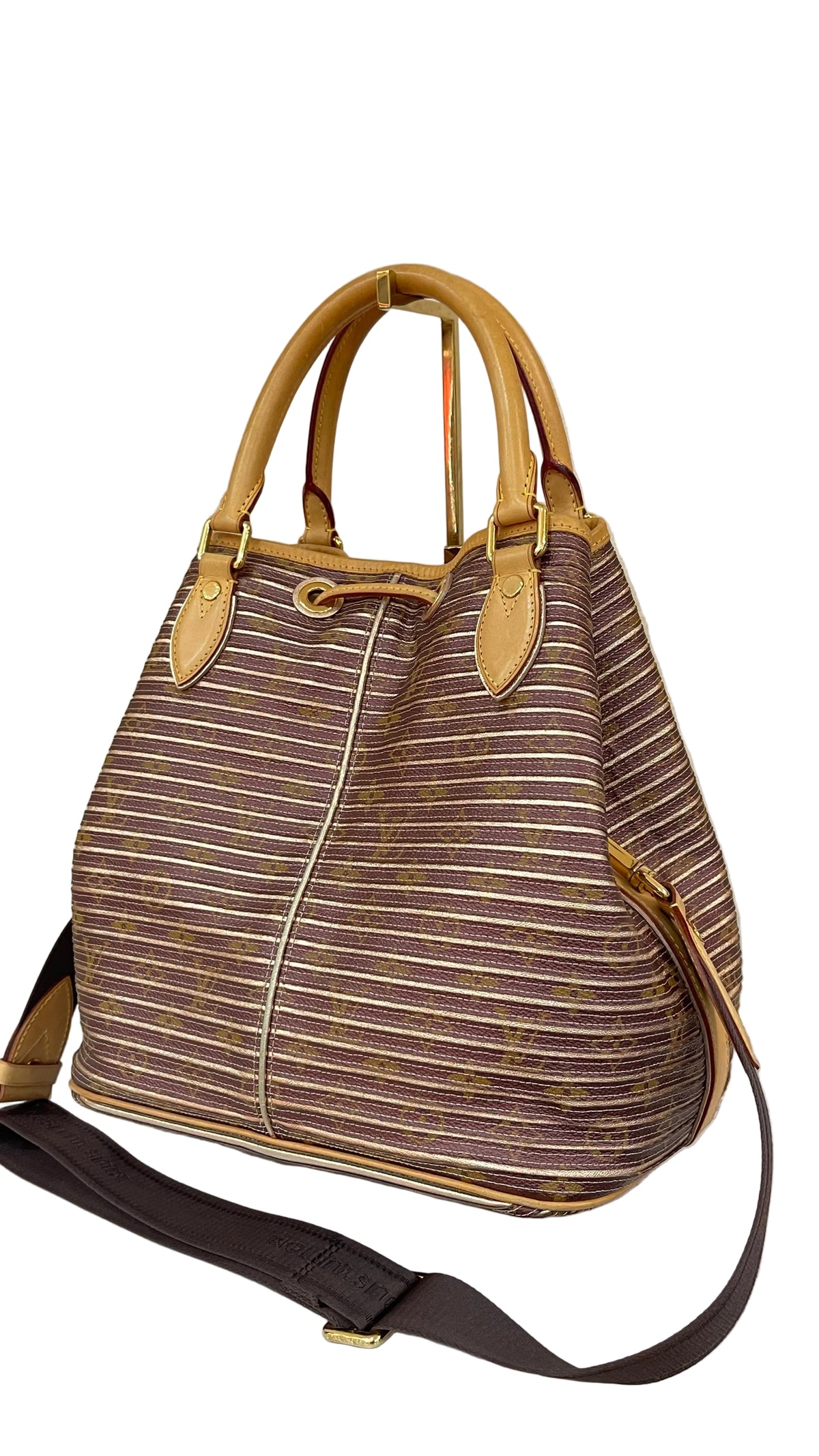Louis Vuitton Limited Edition PRE OWNED Monogram Eden Neo Bag
