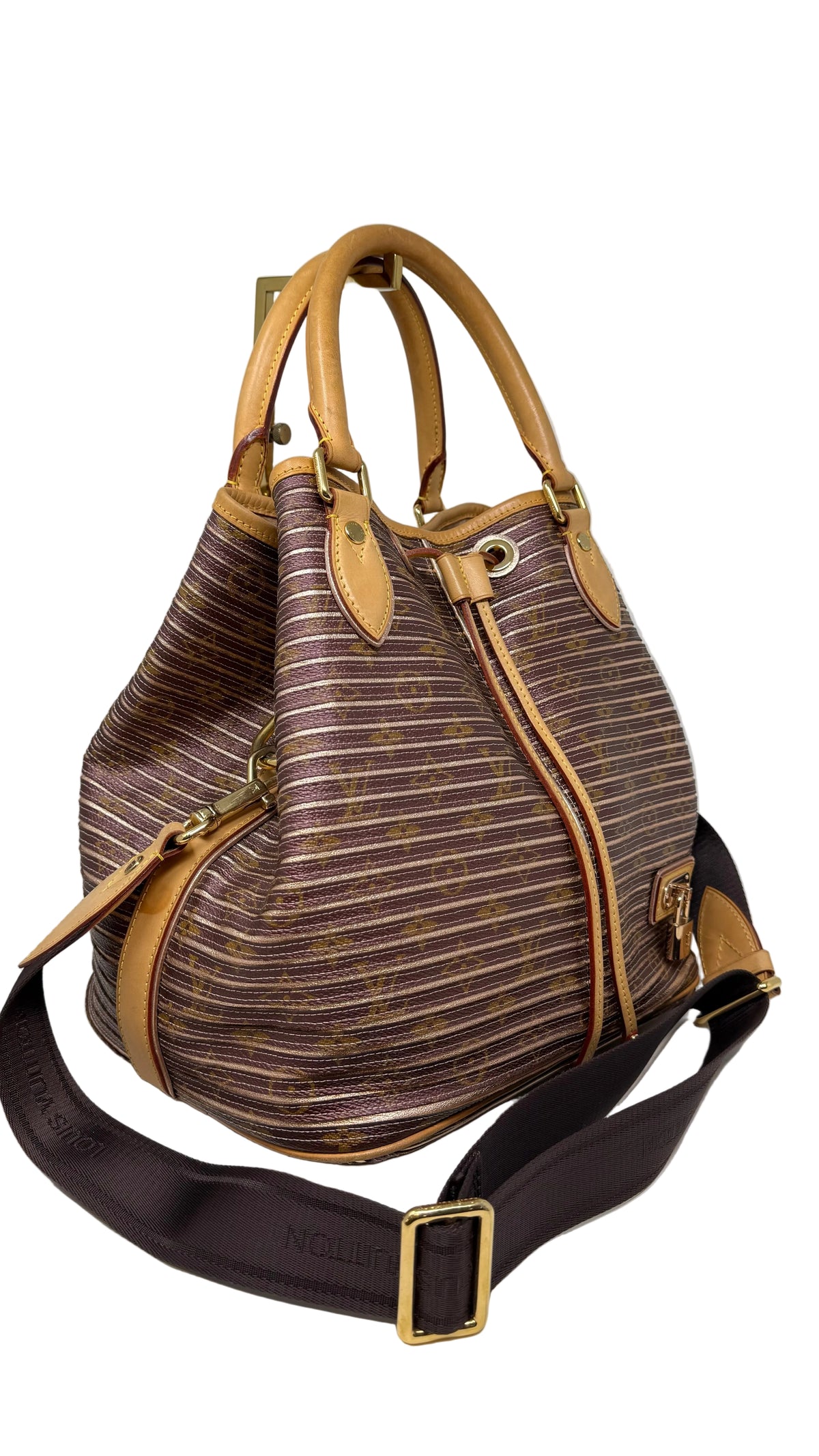 Louis Vuitton Limited Edition PRE OWNED Monogram Eden Neo Bag
