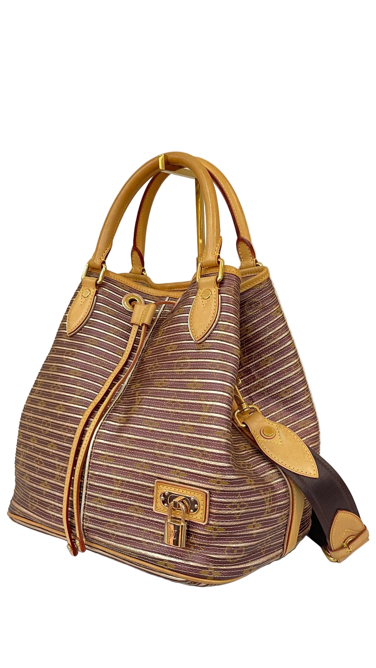 Louis Vuitton Limited Edition PRE OWNED Monogram Eden Neo Bag