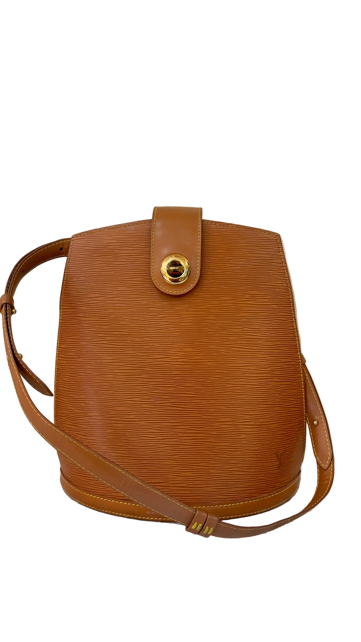 Louis Vuitton PRE OWNED Cluny Epi Leather