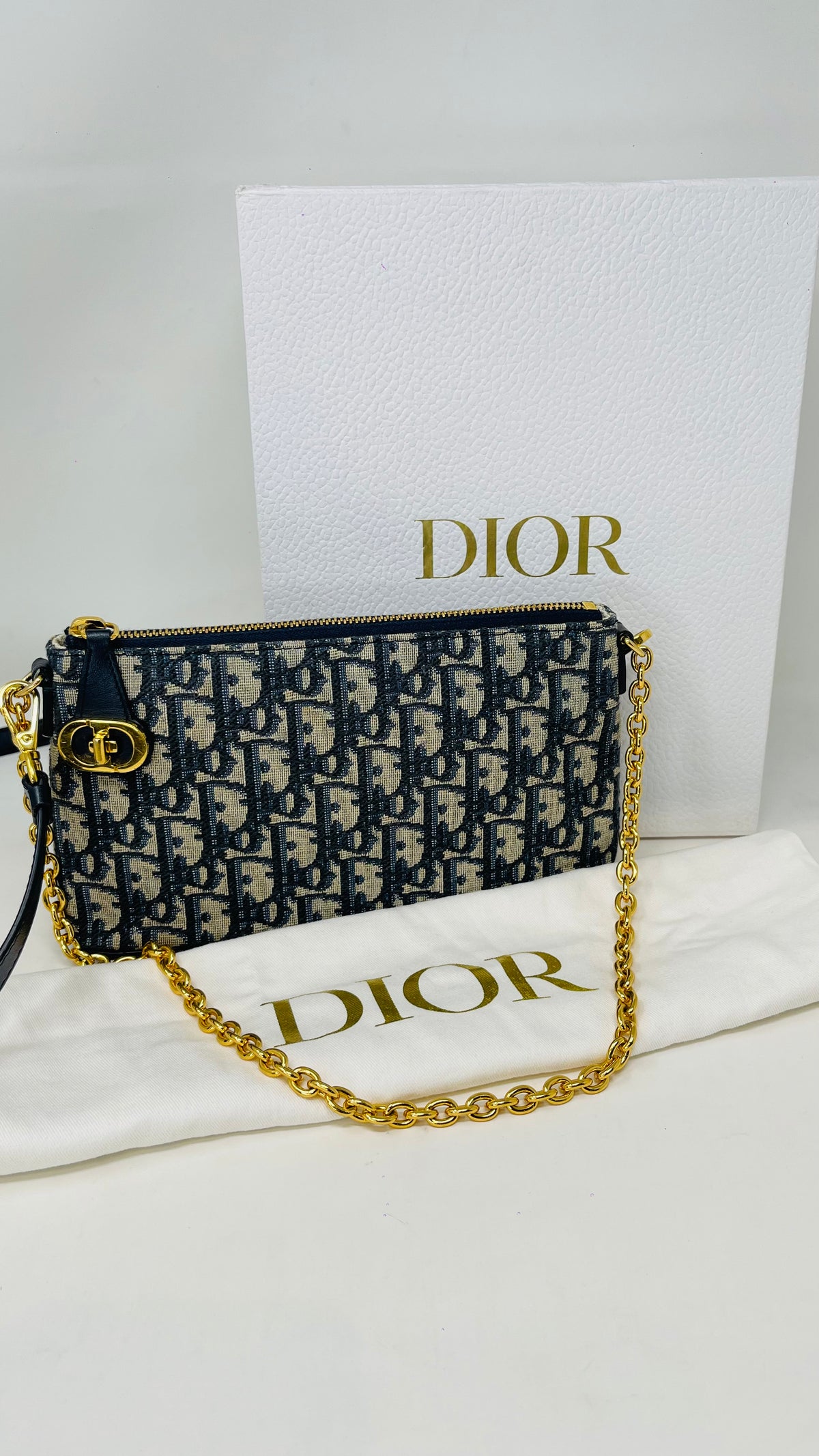 Christian Dior PRE OWNED 30 Montaigne Pouch with Chain Oblique Navy Blue