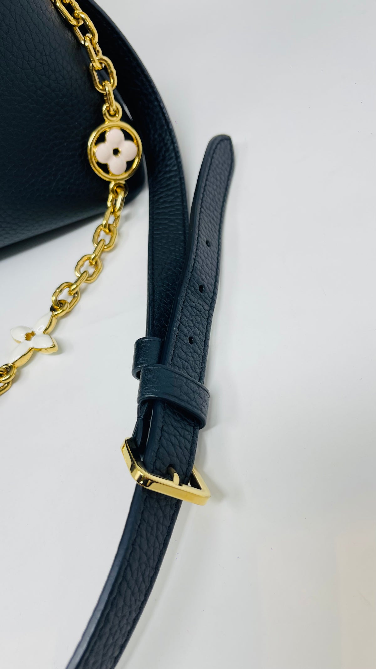 Louis Vuitton Capucine Taurillon Leather Bag PRE OWNED (Microchip)