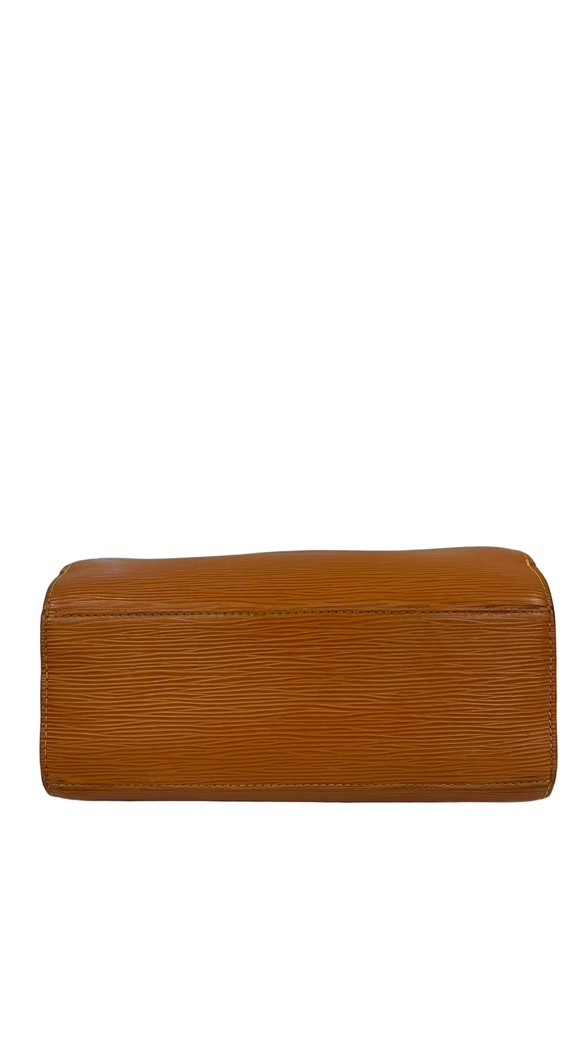 Louis Vuitton Preloved Epi Leather Point Neuf