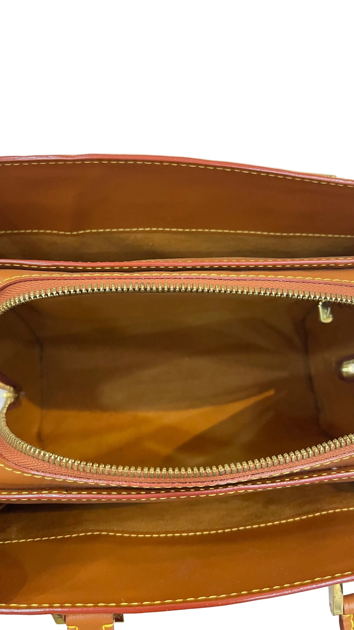 Louis Vuitton Preloved Epi Leather Point Neuf