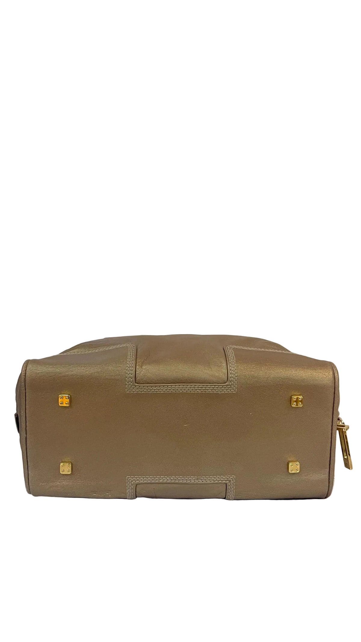 Loewe Amazona 28 PRE OWNED Piel Metalizado Dorada